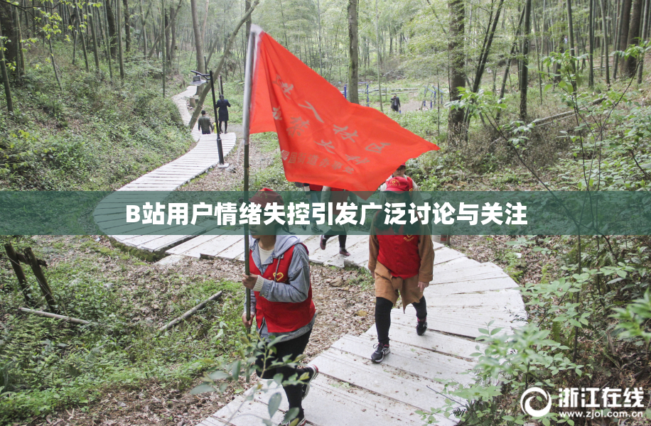 B站用户情绪失控引发广泛讨论与关注