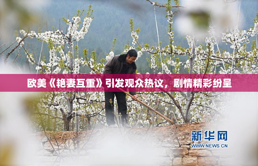 欧美《艳妻互重》引发观众热议，剧情精彩纷呈