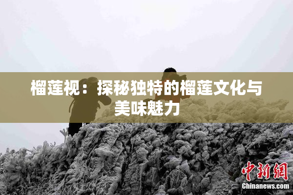 榴莲视：探秘独特的榴莲文化与美味魅力