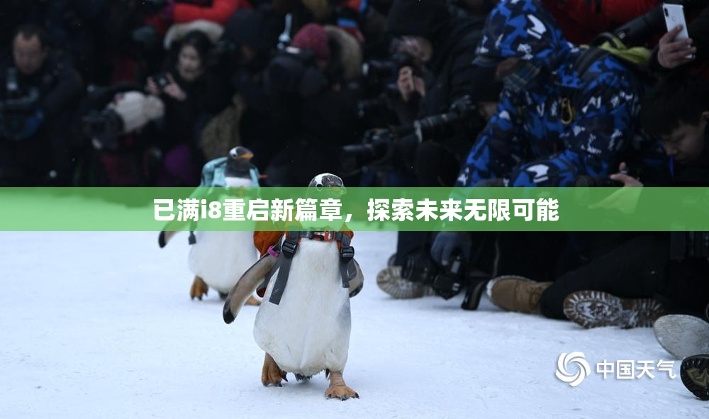 已满i8重启新篇章，探索未来无限可能
