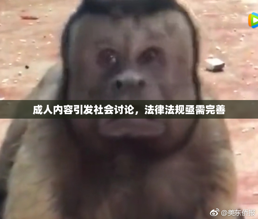 成人内容引发社会讨论，法律法规亟需完善