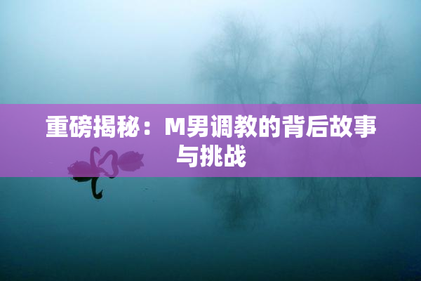 重磅揭秘：M男调教的背后故事与挑战