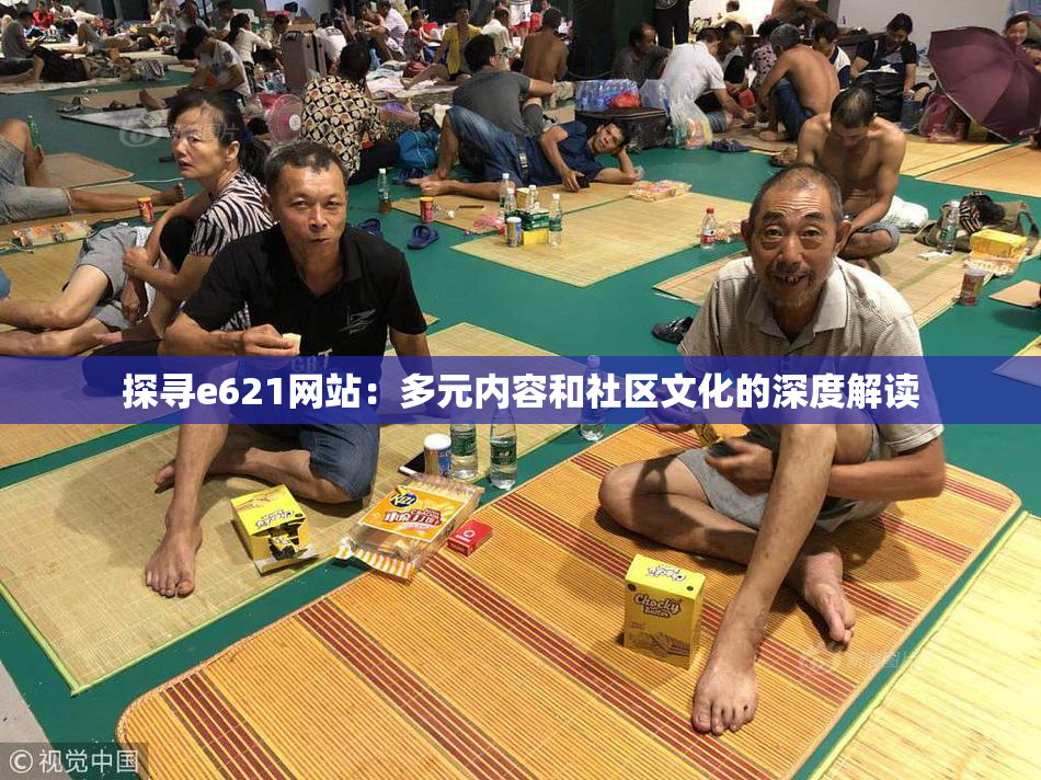 探寻e621网站：多元内容和社区文化的深度解读