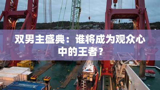 双男主盛典：谁将成为观众心中的王者？