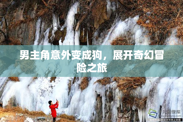 男主角意外变成狗，展开奇幻冒险之旅