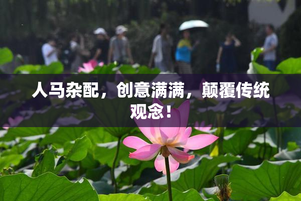 人马杂配，创意满满，颠覆传统观念！