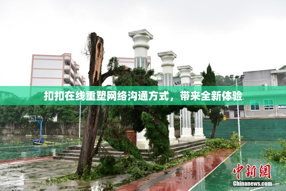 扣扣在线重塑网络沟通方式，带来全新体验