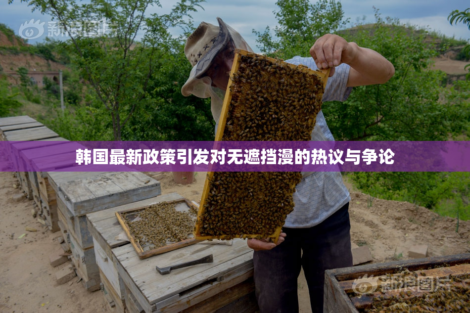 韩国最新政策引发对无遮挡漫的热议与争论