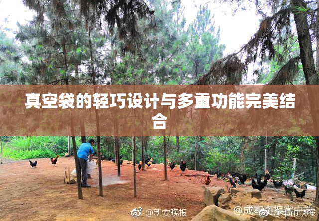 真空袋的轻巧设计与多重功能完美结合
