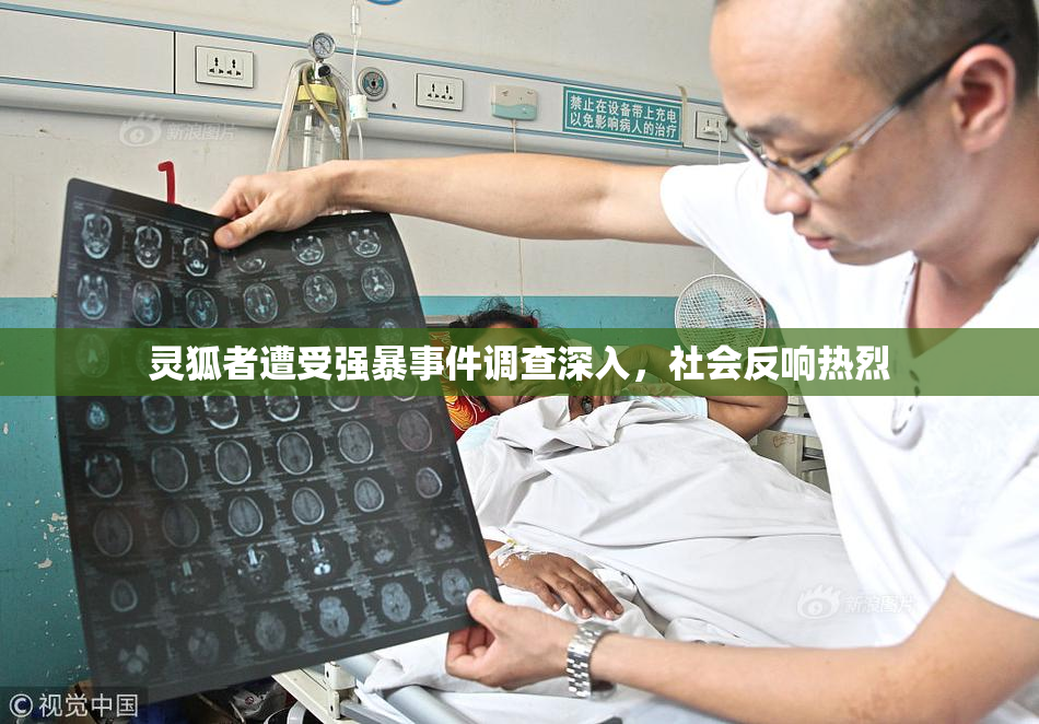 灵狐者遭受强暴事件调查深入，社会反响热烈