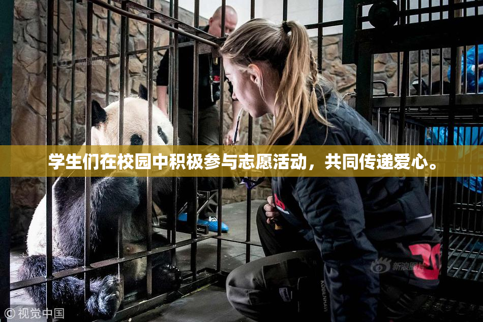 学生们在校园中积极参与志愿活动，共同传递爱心。