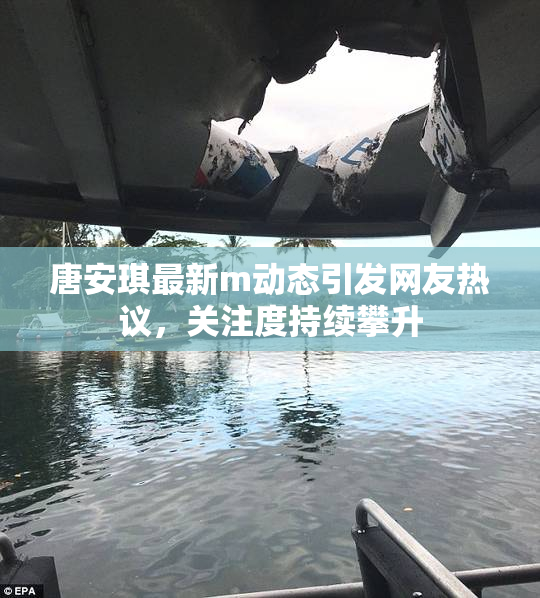 唐安琪最新m动态引发网友热议，关注度持续攀升
