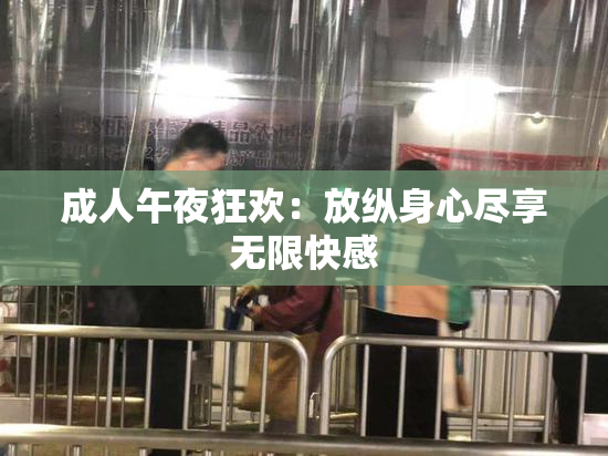 成人午夜狂欢：放纵身心尽享无限快感