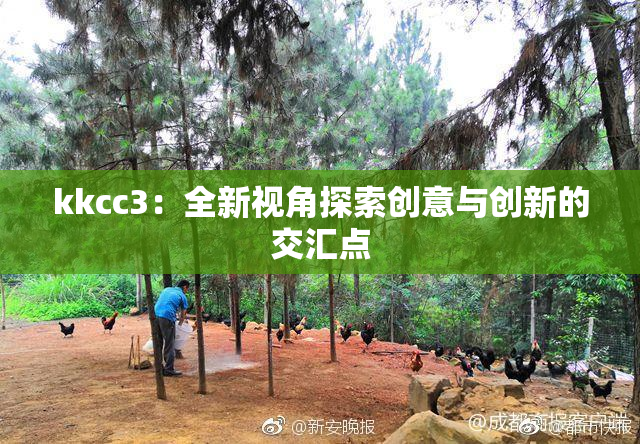 kkcc3：全新视角探索创意与创新的交汇点