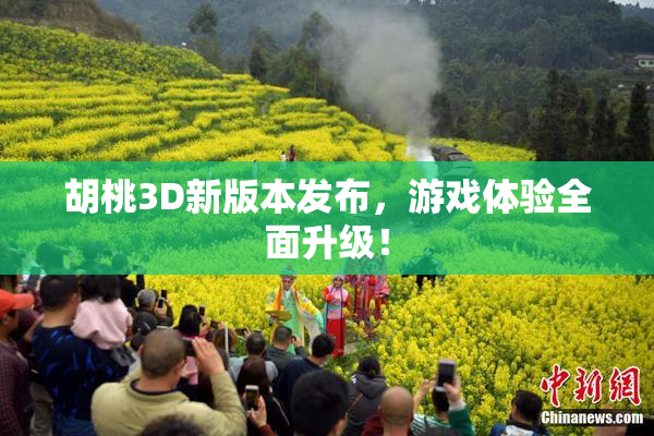 胡桃3D新版本发布，游戏体验全面升级！