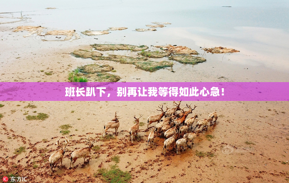 班长趴下，别再让我等得如此心急！
