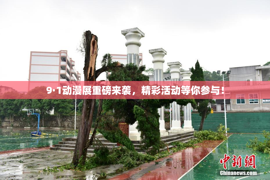 9·1动漫展重磅来袭，精彩活动等你参与！