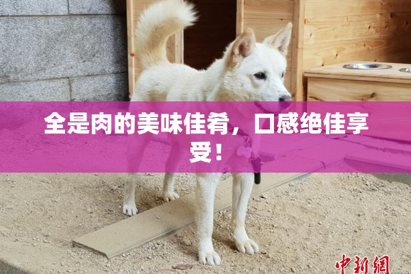 全是肉的美味佳肴，口感绝佳享受！