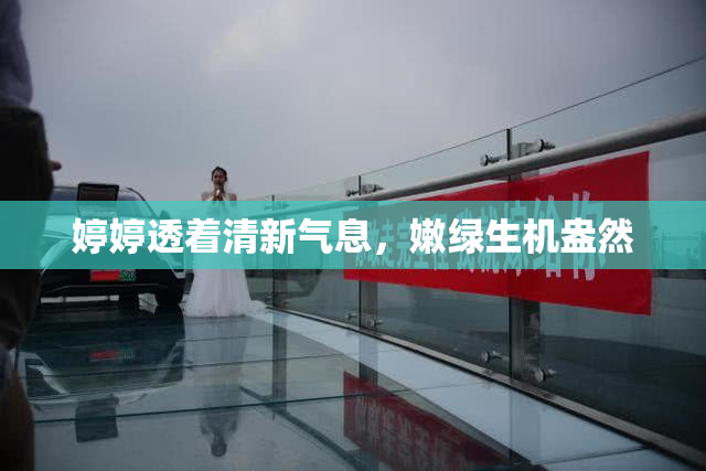 婷婷透着清新气息，嫩绿生机盎然