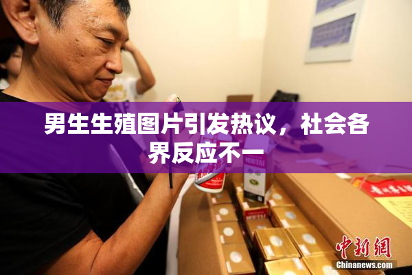 男生生殖图片引发热议，社会各界反应不一