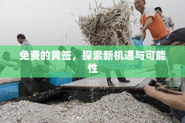 免费的黄签，探索新机遇与可能性