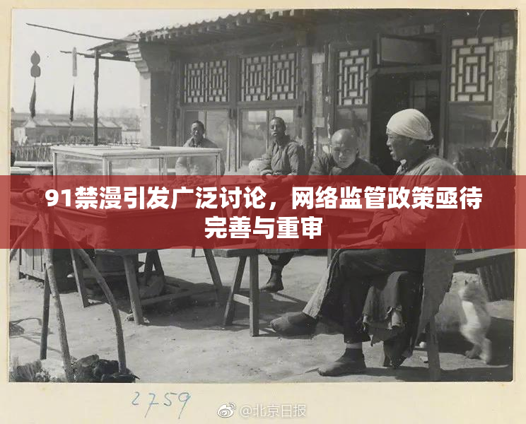 91禁漫引发广泛讨论，网络监管政策亟待完善与重审