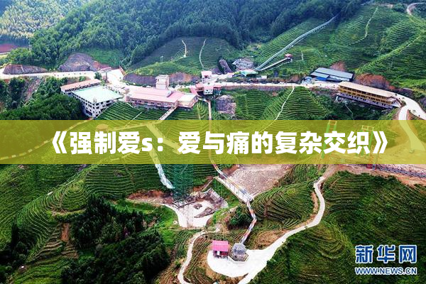 《强制爱s：爱与痛的复杂交织》