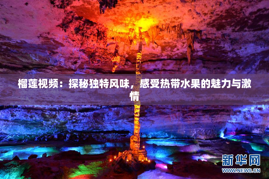 榴莲视频：探秘独特风味，感受热带水果的魅力与激情
