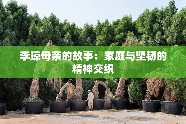 李琼母亲的故事：家庭与坚韧的精神交织
