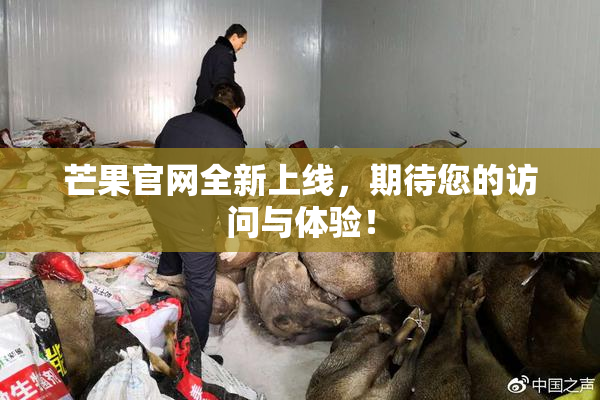 芒果官网全新上线，期待您的访问与体验！