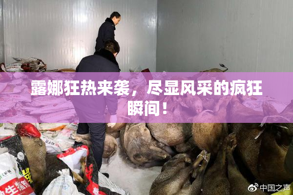 露娜狂热来袭，尽显风采的疯狂瞬间！
