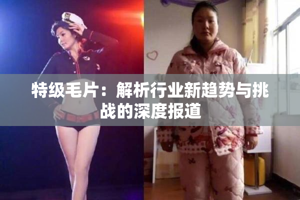 特级毛片：解析行业新趋势与挑战的深度报道