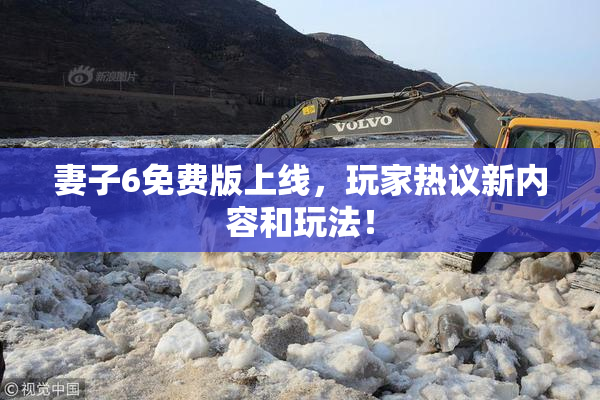 妻子6免费版上线，玩家热议新内容和玩法！