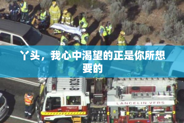 丫头，我心中渴望的正是你所想要的