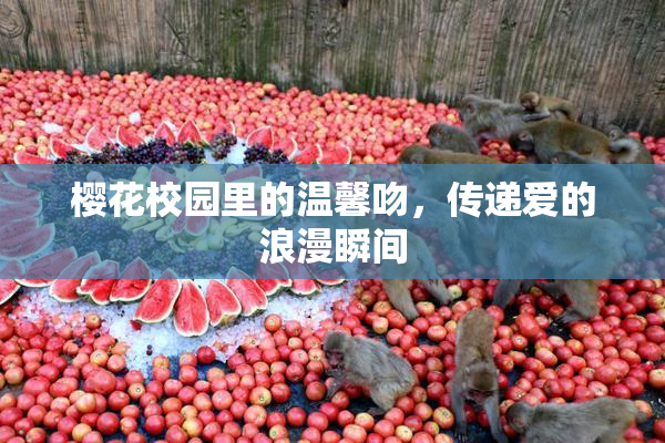 樱花校园里的温馨吻，传递爱的浪漫瞬间