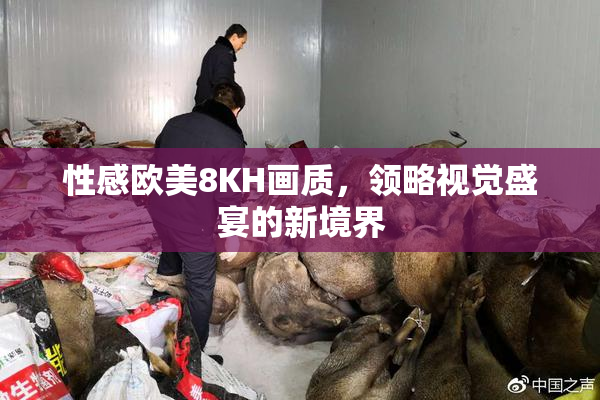 性感欧美8KH画质，领略视觉盛宴的新境界