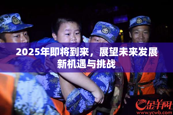 2025年即将到来，展望未来发展新机遇与挑战
