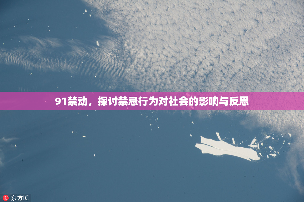 91禁动，探讨禁忌行为对社会的影响与反思