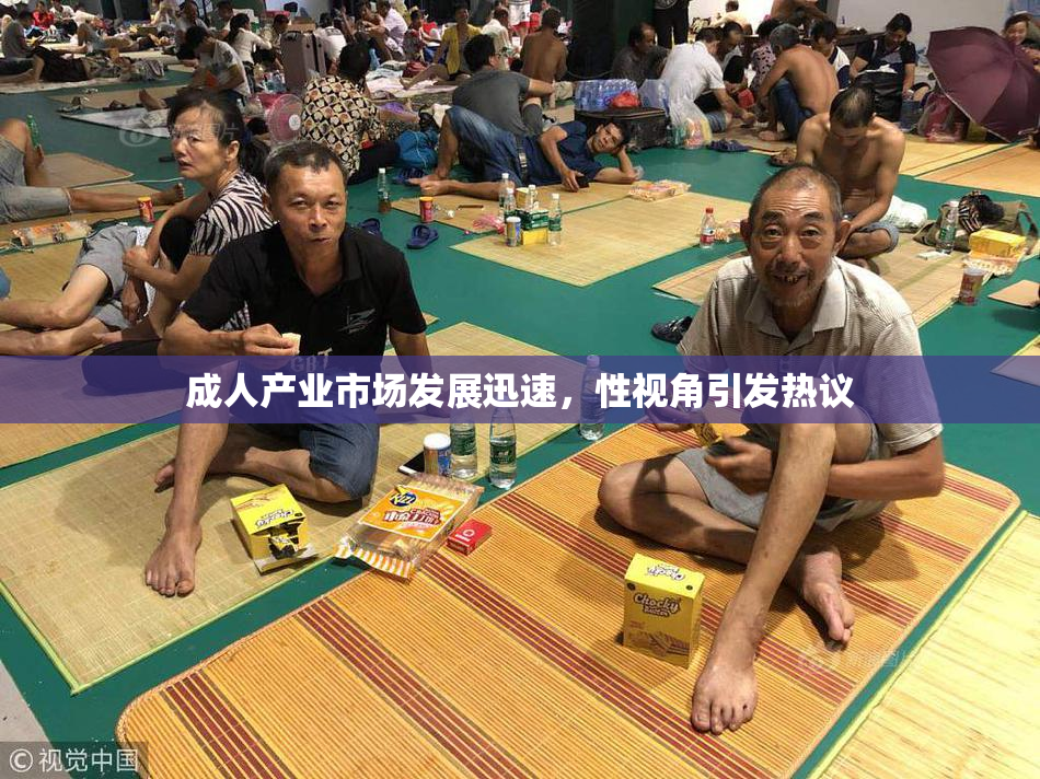 成人产业市场发展迅速，性视角引发热议