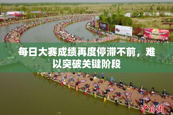 每日大赛成绩再度停滞不前，难以突破关键阶段