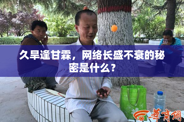 久旱逢甘霖，网络长盛不衰的秘密是什么？