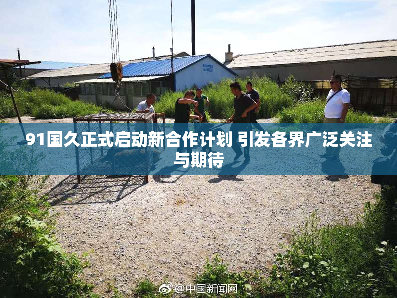 91国久正式启动新合作计划 引发各界广泛关注与期待