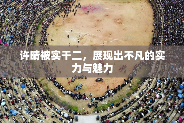 许晴被实干二，展现出不凡的实力与魅力