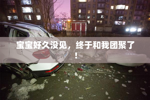 宝宝好久没见，终于和我团聚了！