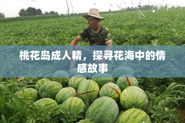 桃花岛成人精，探寻花海中的情感故事