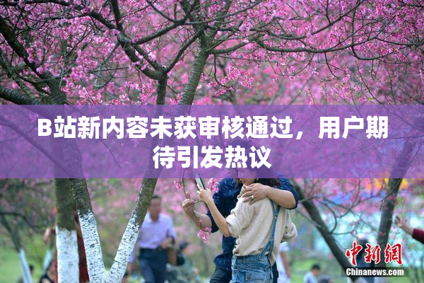 B站新内容未获审核通过，用户期待引发热议