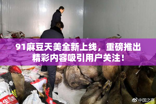 91麻豆天美全新上线，重磅推出精彩内容吸引用户关注！