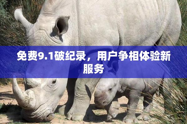 免费9.1破纪录，用户争相体验新服务