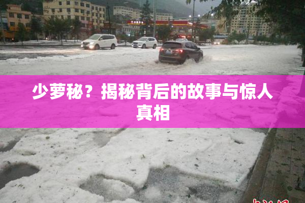 少萝秘？揭秘背后的故事与惊人真相
