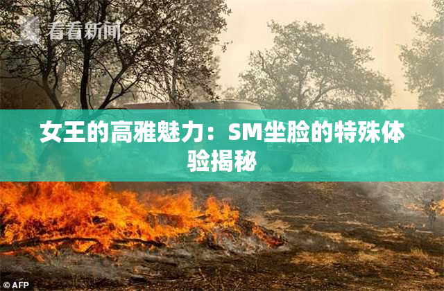 女王的高雅魅力：SM坐脸的特殊体验揭秘